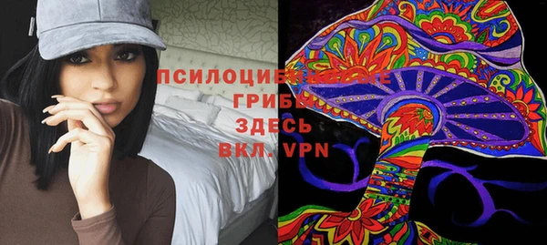 альфа пвп Бородино